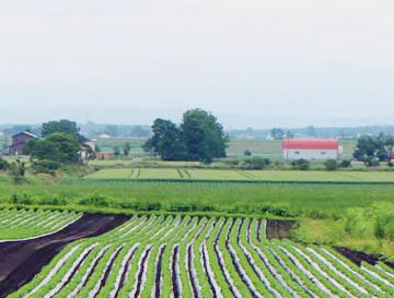 img16.jpg