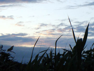 img19.jpg