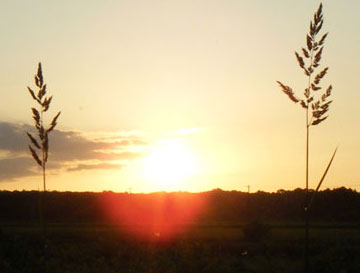 img21.jpg