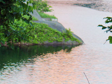 img43.jpg