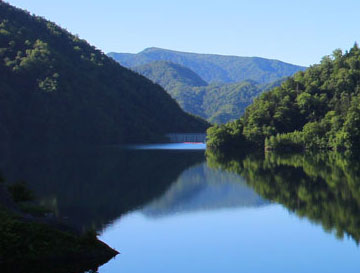img44.jpg