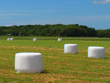 img45.jpg