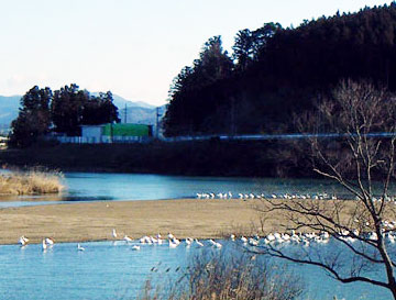 img03.jpg