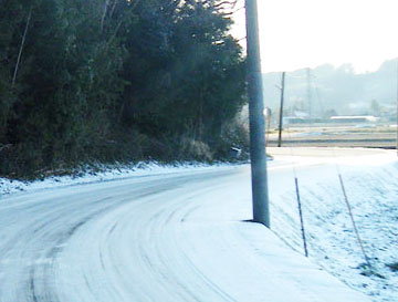 img13.jpg