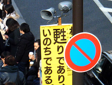 img10.jpg