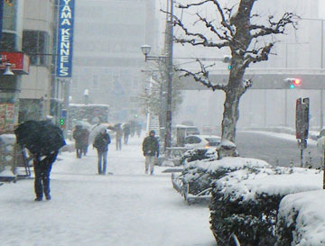 img19.jpg